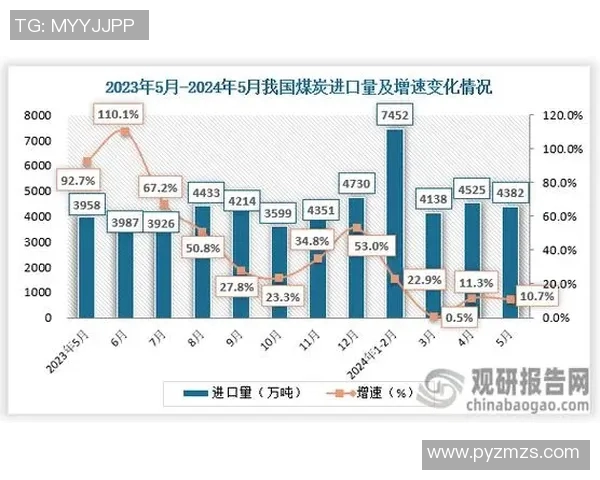 深入探讨上海排球队实力表现与数据分析的全面解读与未来展望